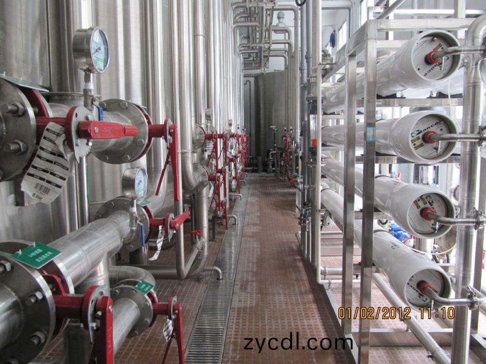 飲(yin)料(liao)廠20m3ph純(chun)水(shui)係統(tong)
