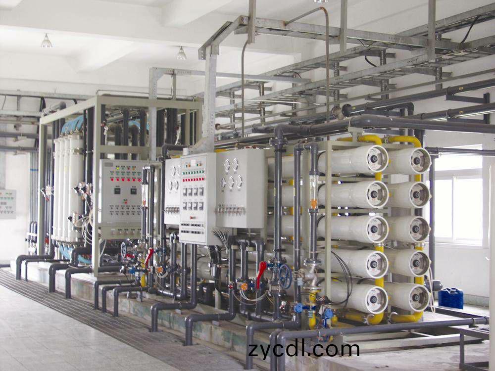 東莞電(dian)化實(shi)業(ye)RO2